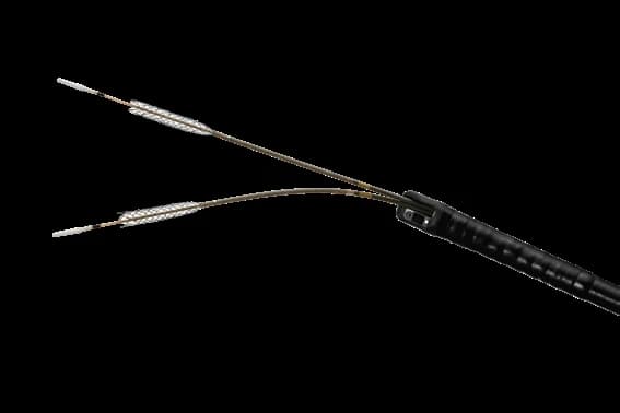 Taewoong Niti-S M biliary stent pair mounted on side-by-side delivery catheters